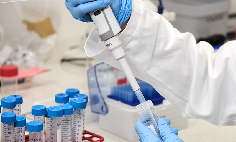 Material Safety Analysis (e.g., Heavy Metals)