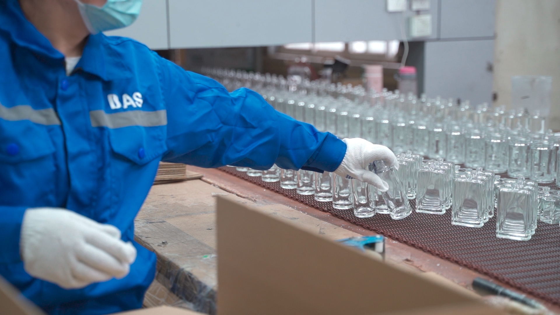 Step 10: Manual Quality Assurance