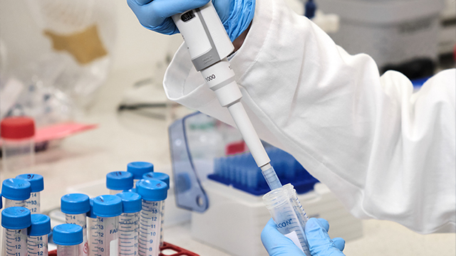 Material Safety Analysis (e.g., Heavy Metals)